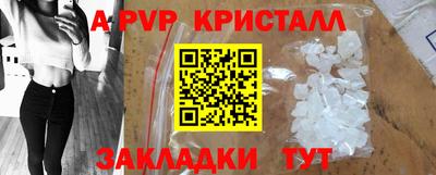 PSILOCYBIN Можга