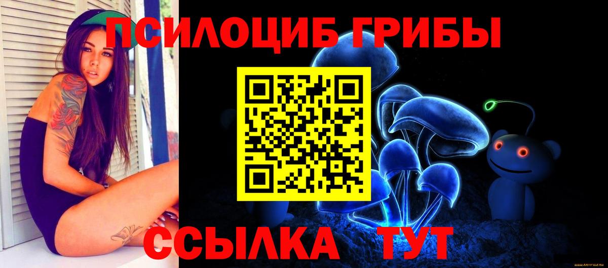 магазин    Псилоцибиновые грибы мицелий  Вход с VPN  Псилоцибиновые грибы Psilocybe  Каменск-Уральский 